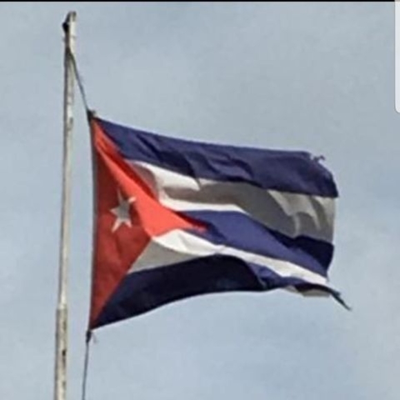 Meet your Posher, Amaury - Picture 1 of 1